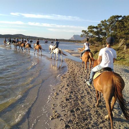 Appartamento Sette Posti Vicino Al Centro Di San Teodoro San Teodoro  Bagian luar foto