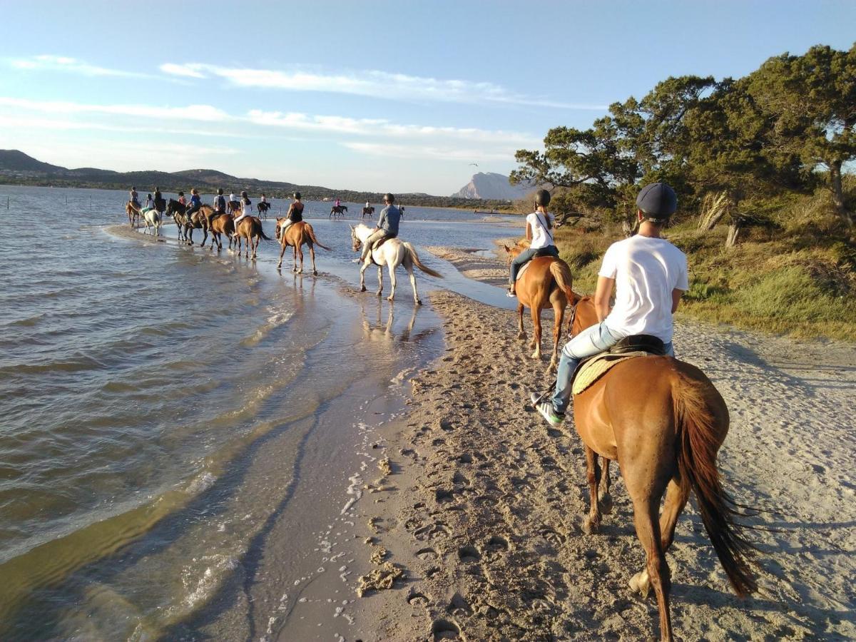 Appartamento Sette Posti Vicino Al Centro Di San Teodoro San Teodoro  Bagian luar foto